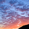 the look of the sky # 280