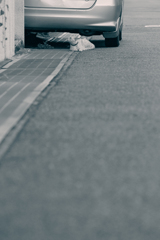 吾輩は猫である、ニャー # 495