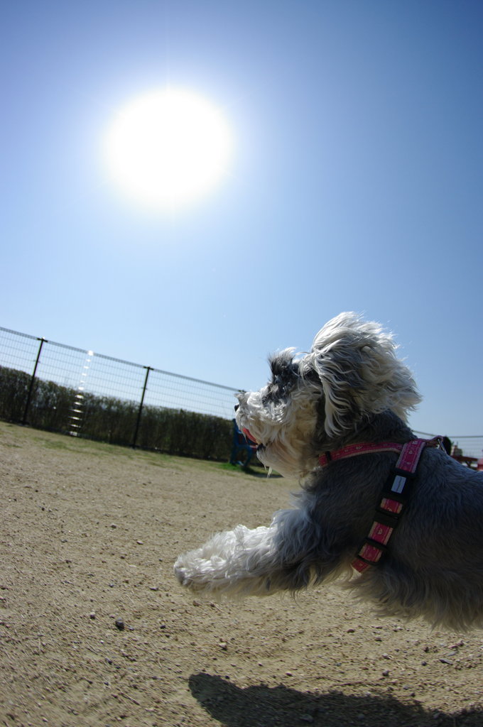 太陽に向かってGO!