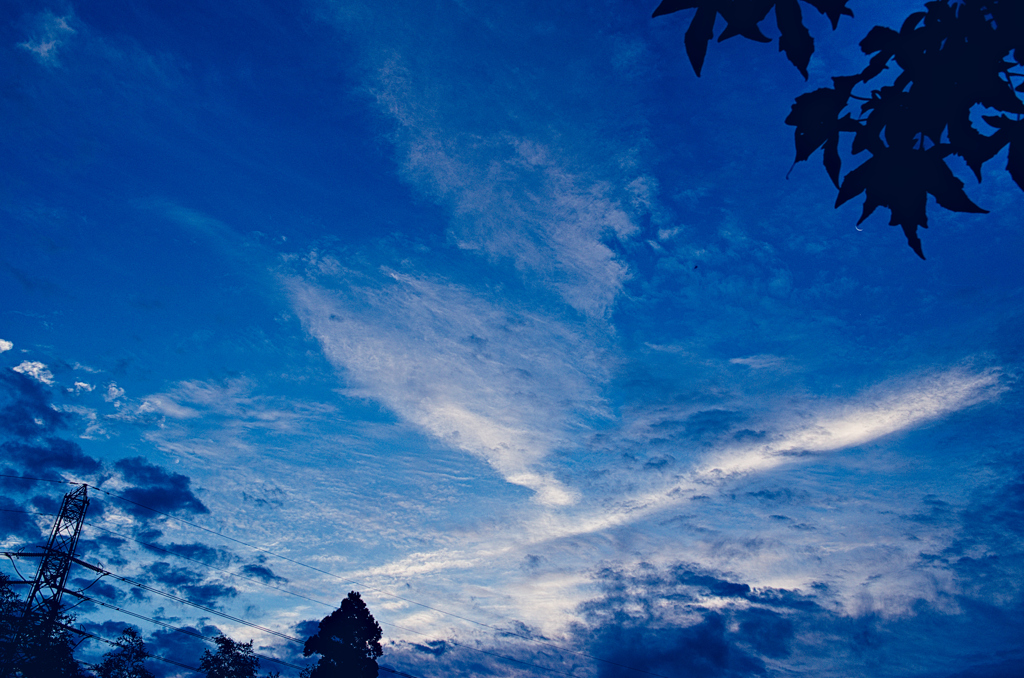 the look of the sky # 500