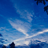 the look of the sky # 500