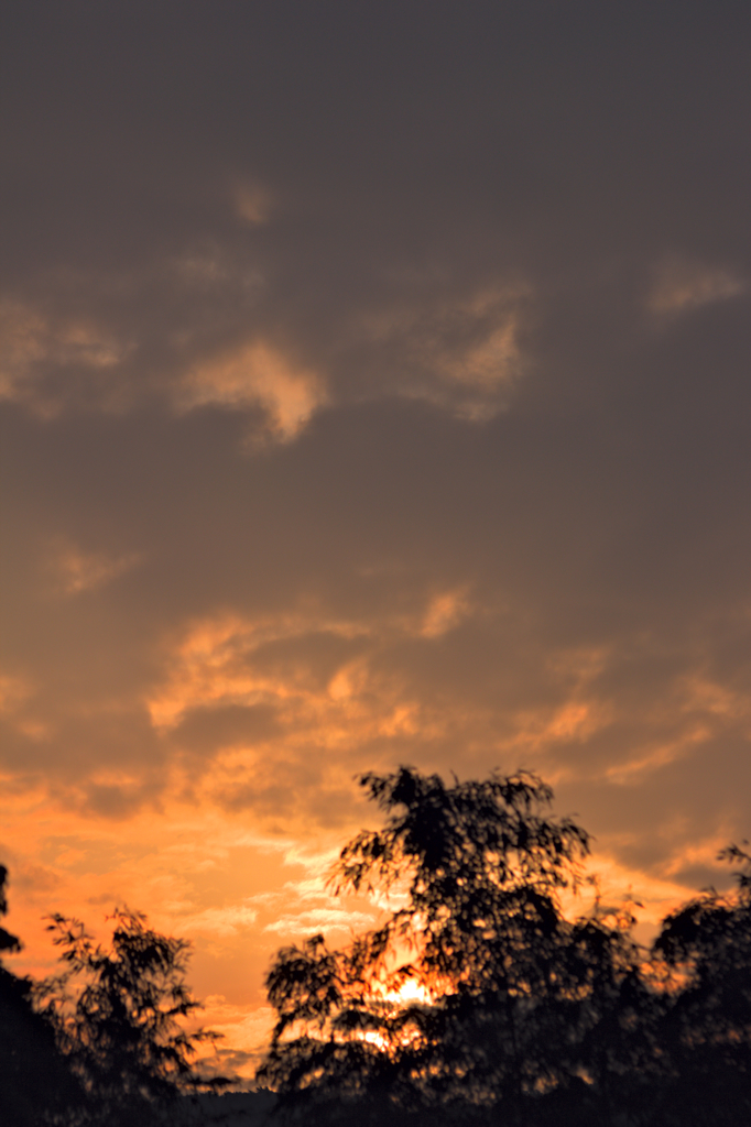 the look of the sky # 58