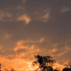 the look of the sky # 58