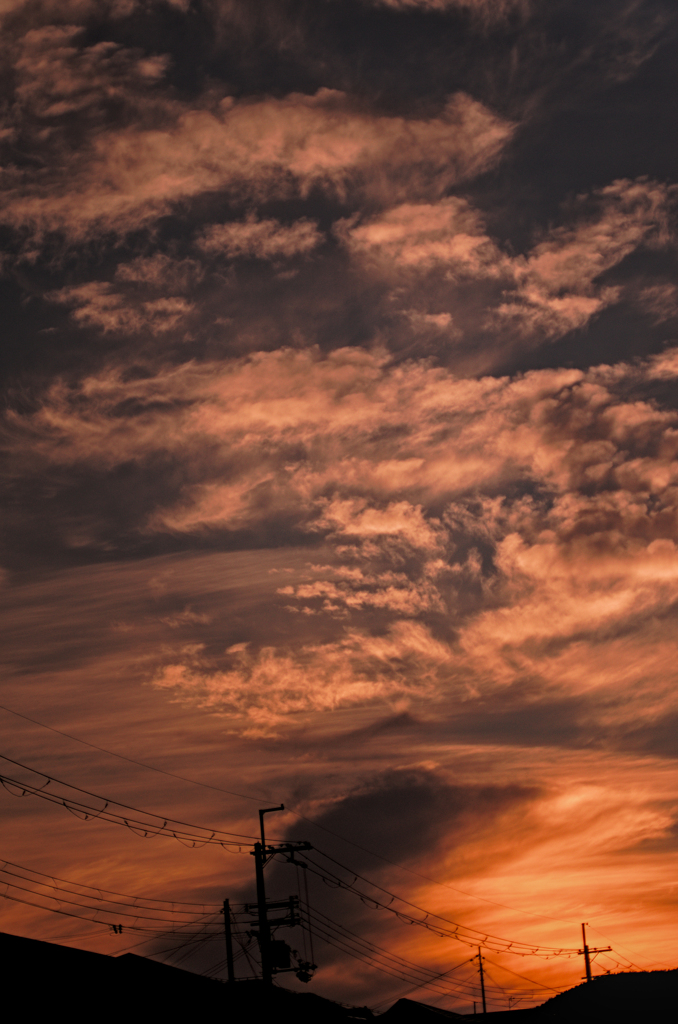 the look of the sky # 478