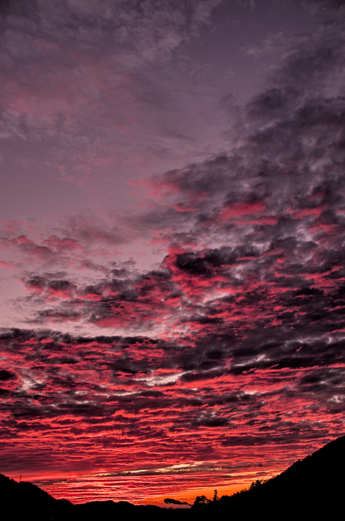 the look of the sky # 442