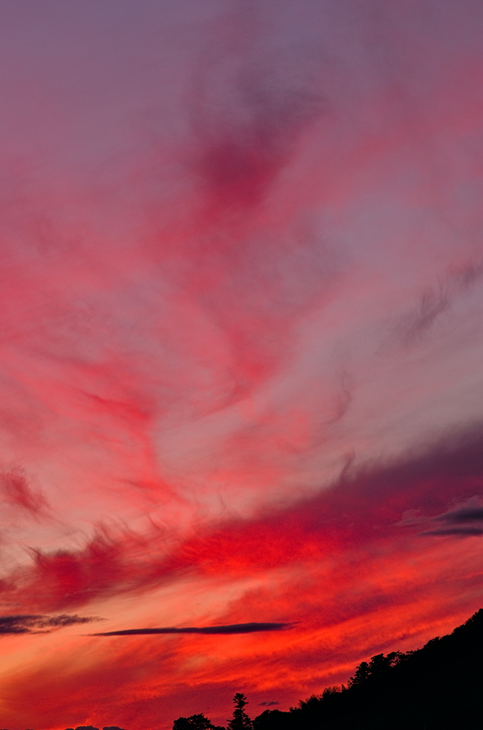 the look of the sky # 307