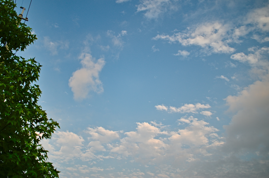 the look of the sky # 362