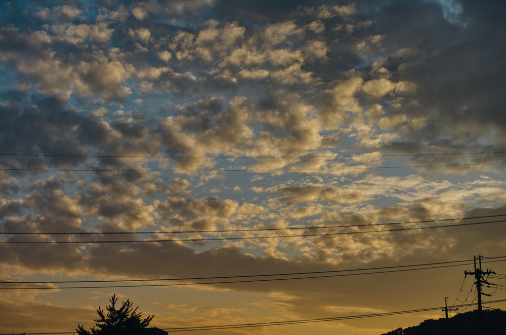 the look of the sky # 511