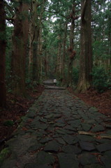 熊野古道 （大門坂）