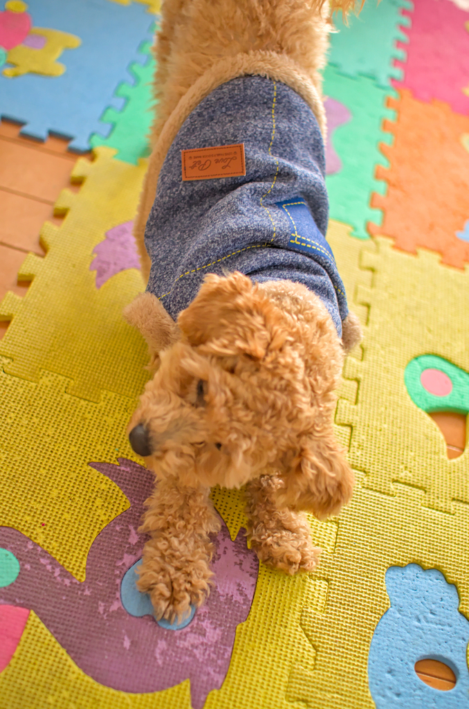 my pretty dog Ⅱ # 200