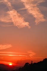 the look of the sky # 299