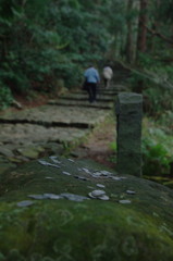 熊野古道 （大門坂）