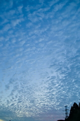 the look of the sky # 313