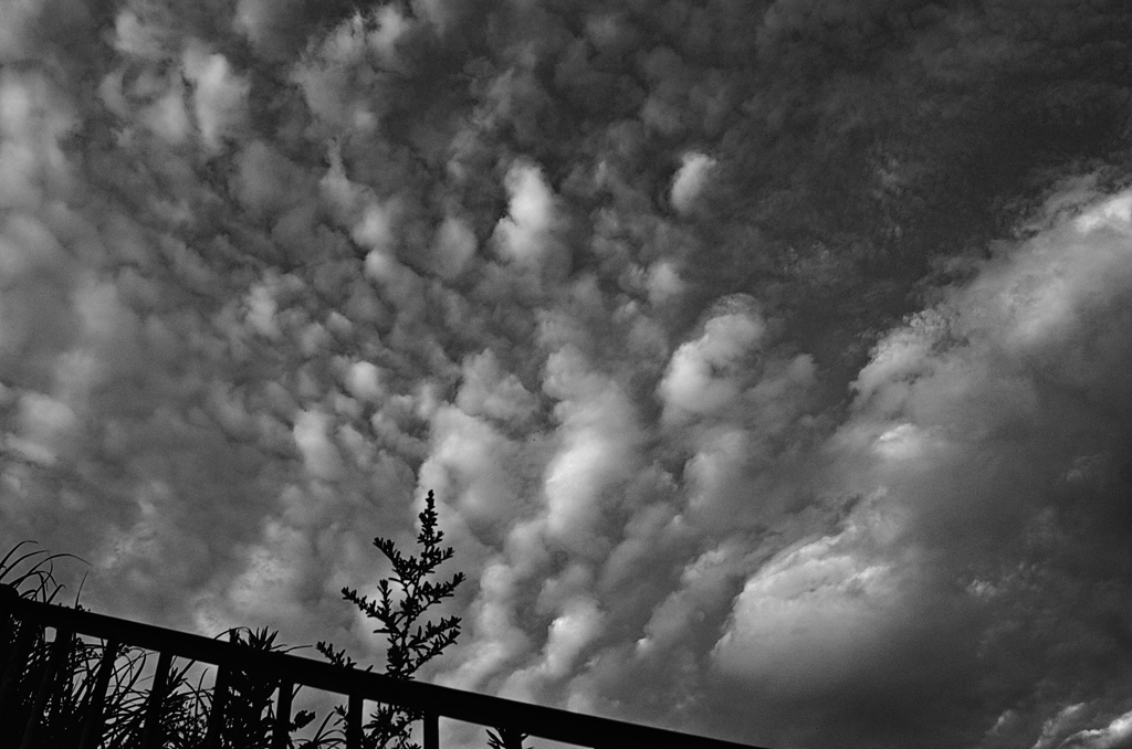 the look of the sky # 521