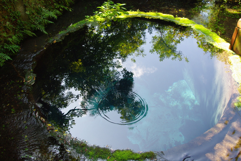 湧き水