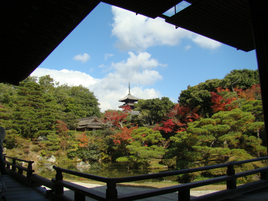 仁和寺の中庭