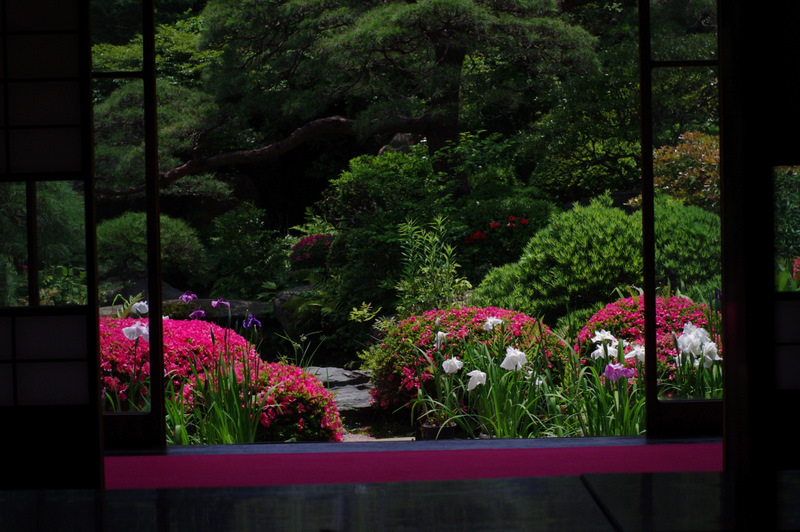 梅雨前の庭園