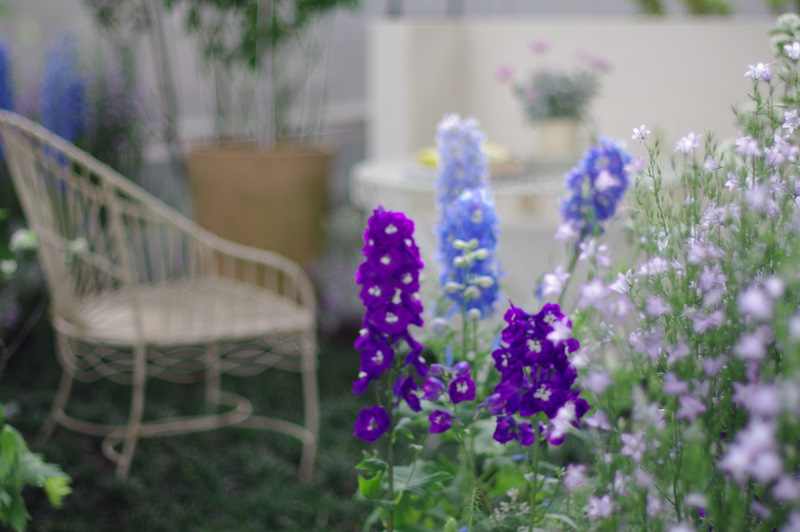 花咲く庭で