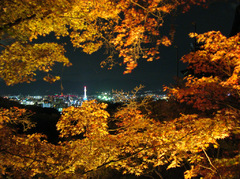 紅葉と京都タワー
