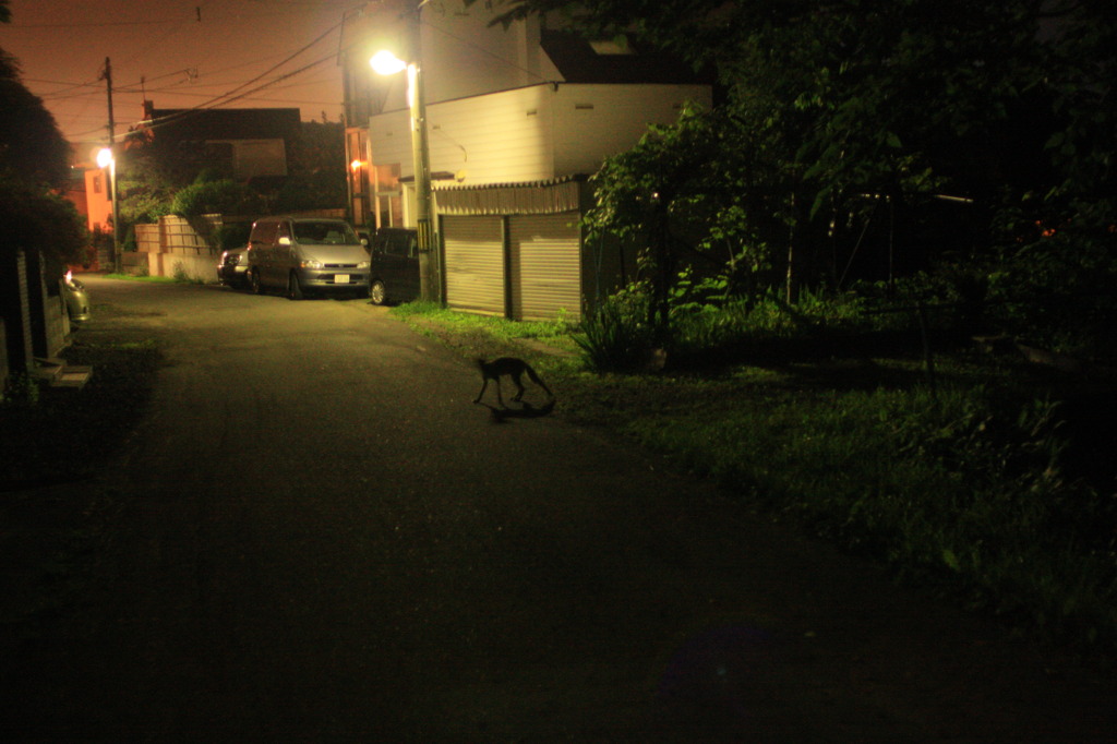 未知との遭遇