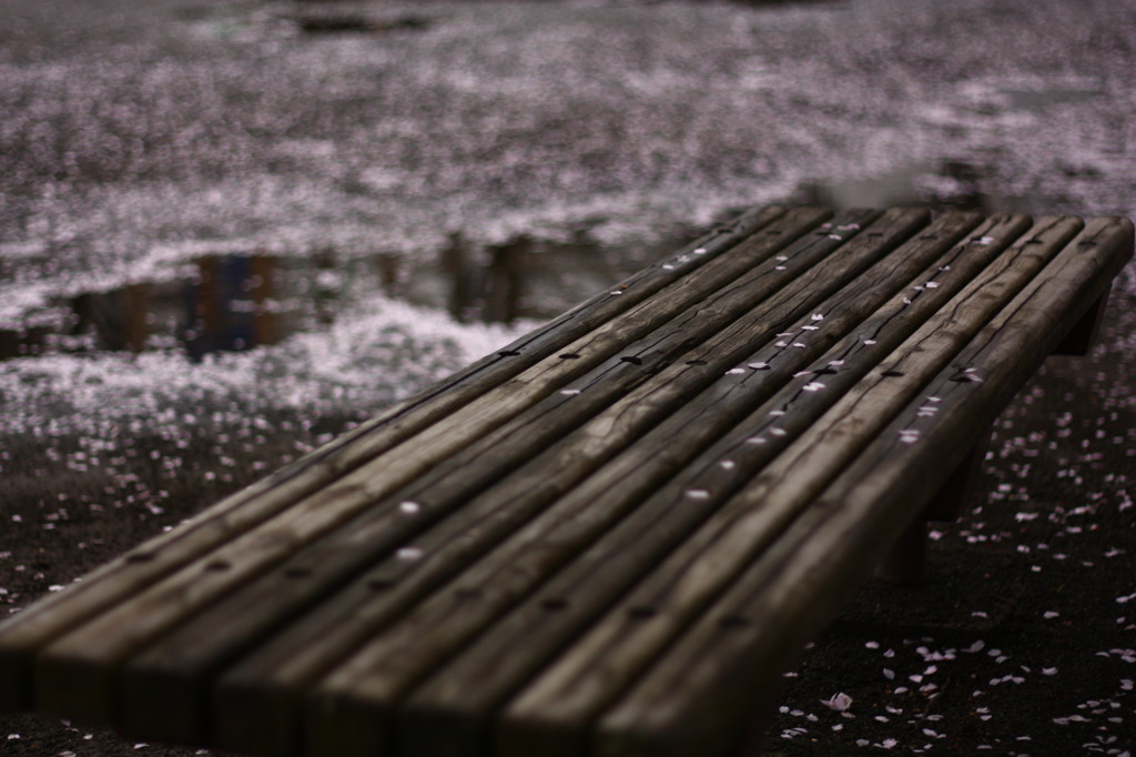 風雨の後