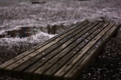 風雨の後