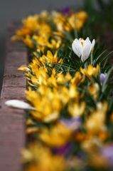 IMG_3140