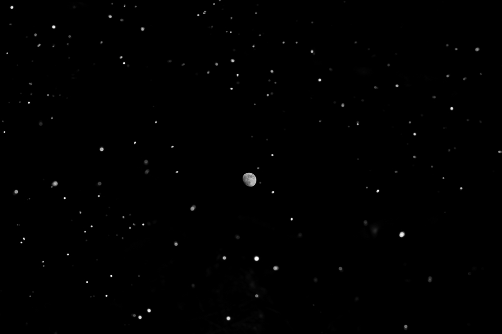 星屑の・・・