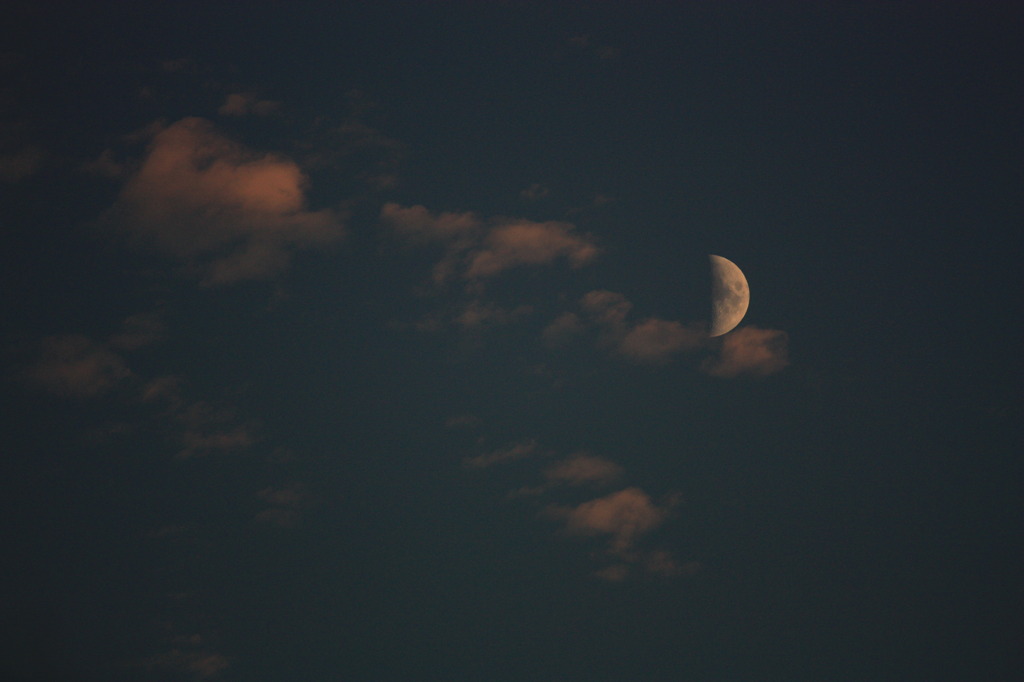 夕月