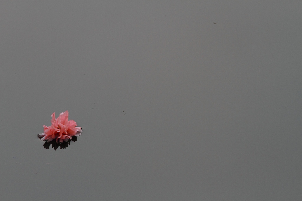 浮