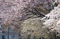 吹雪