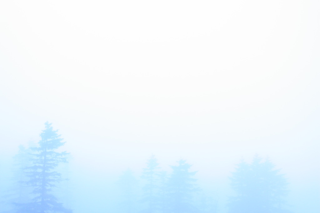 霧中