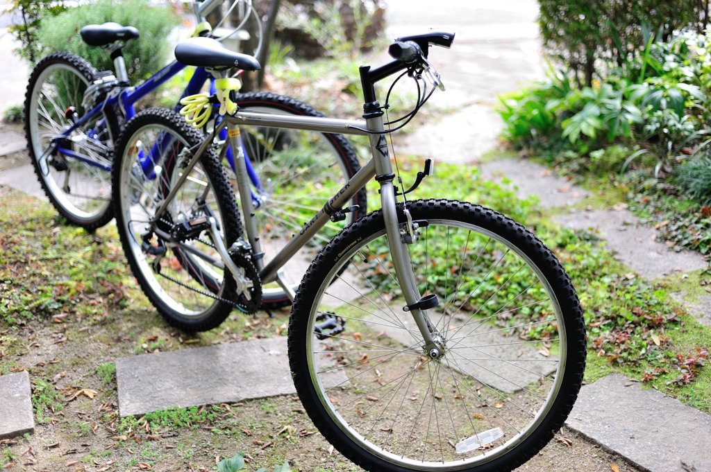 It is MTB today　♪