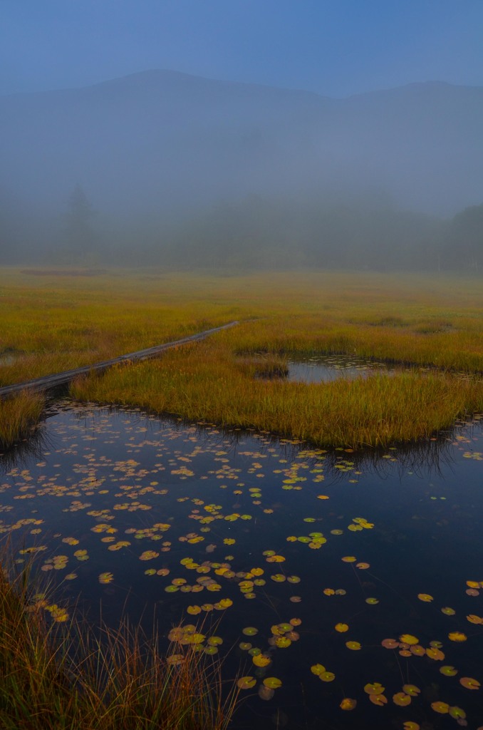 Foggy autumnal scenery　Ⅰ