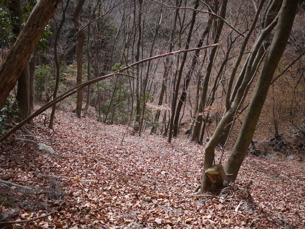 This is Nishijyoushu