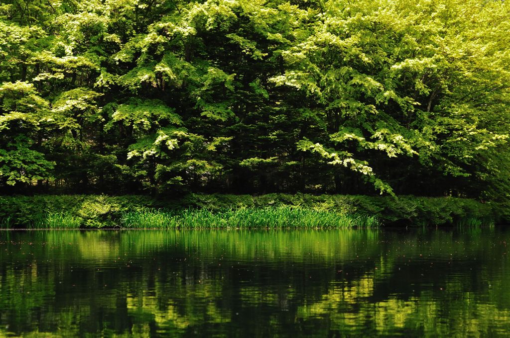 Green Water