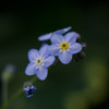 Quietly