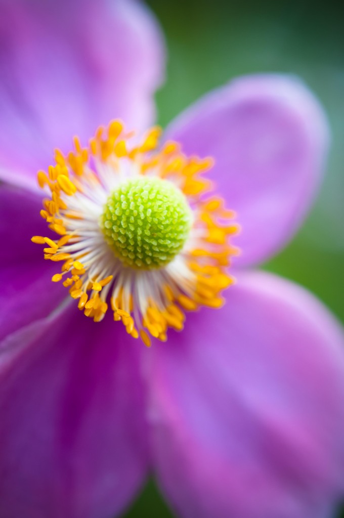 Autumn brightness