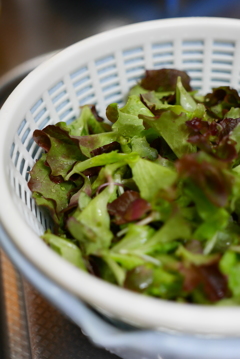 Salad