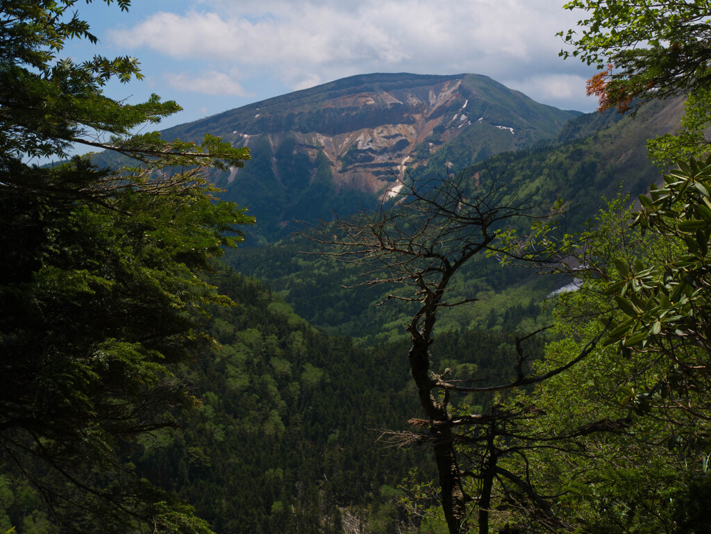 好きな山♪　Ⅰ