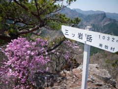 The mountaintop where a flower blooms