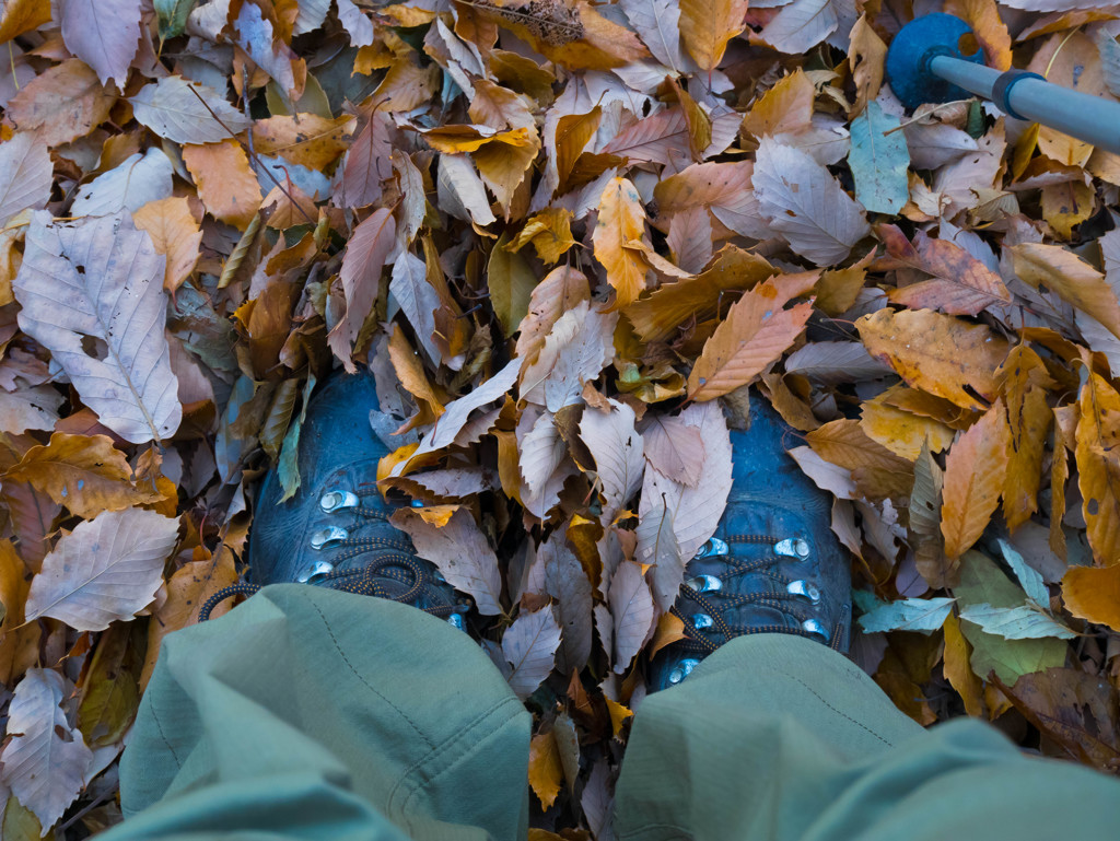 Low mountain walking of fallen leaves