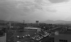 From the window of the sickroom