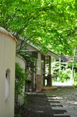 Shop Of Old Karuizawa