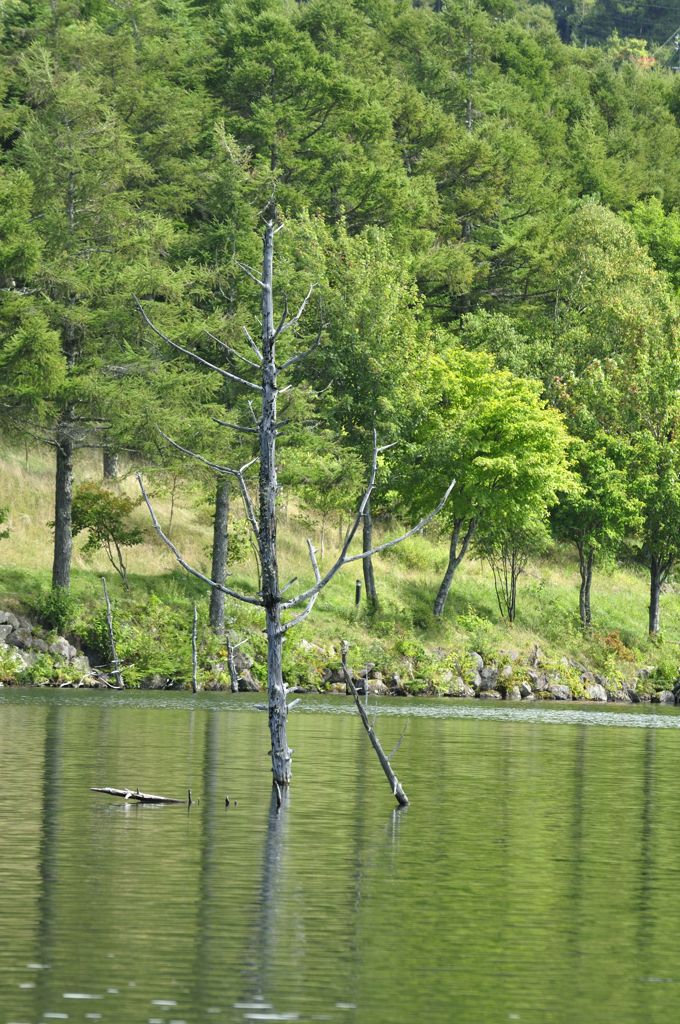 Lake of  Goddess