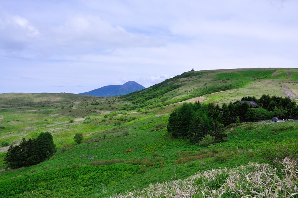 Open field　Trekking