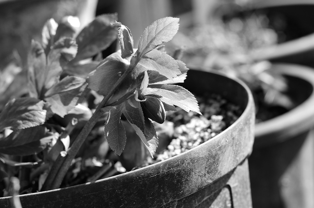 Monochrome　Ⅰ