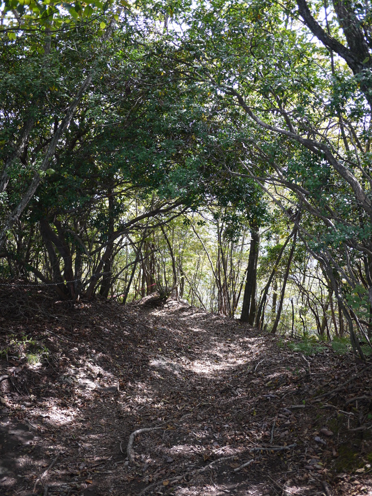 Trails