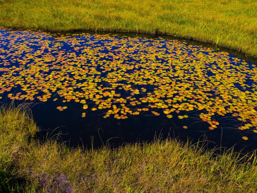 Autumnal scenery