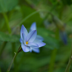 普遍